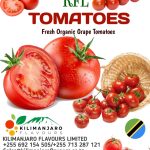 0609a3a1-aa0c-4d32-998d-26c25446596f