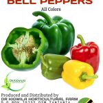 873b1009-4504-4910-8f71-defa6fac2975