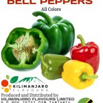 a36da9a1-a1ad-4c3e-96b2-bf569b95a4f9