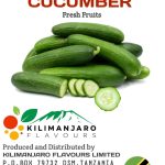 b85f4f45-88f7-4ccf-8b92-c89702132eae