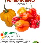 f105173d-df28-434a-b8cc-4be1b3689327